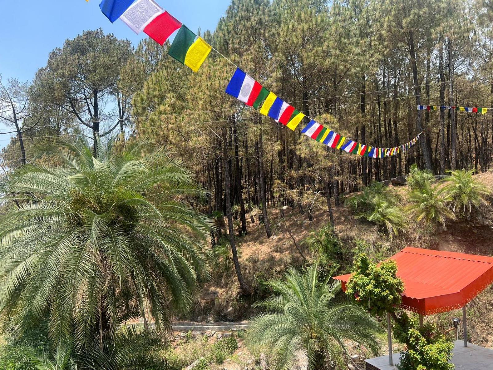 Tathastu Bir -Homestay ,Dorm,Hostel Dış mekan fotoğraf