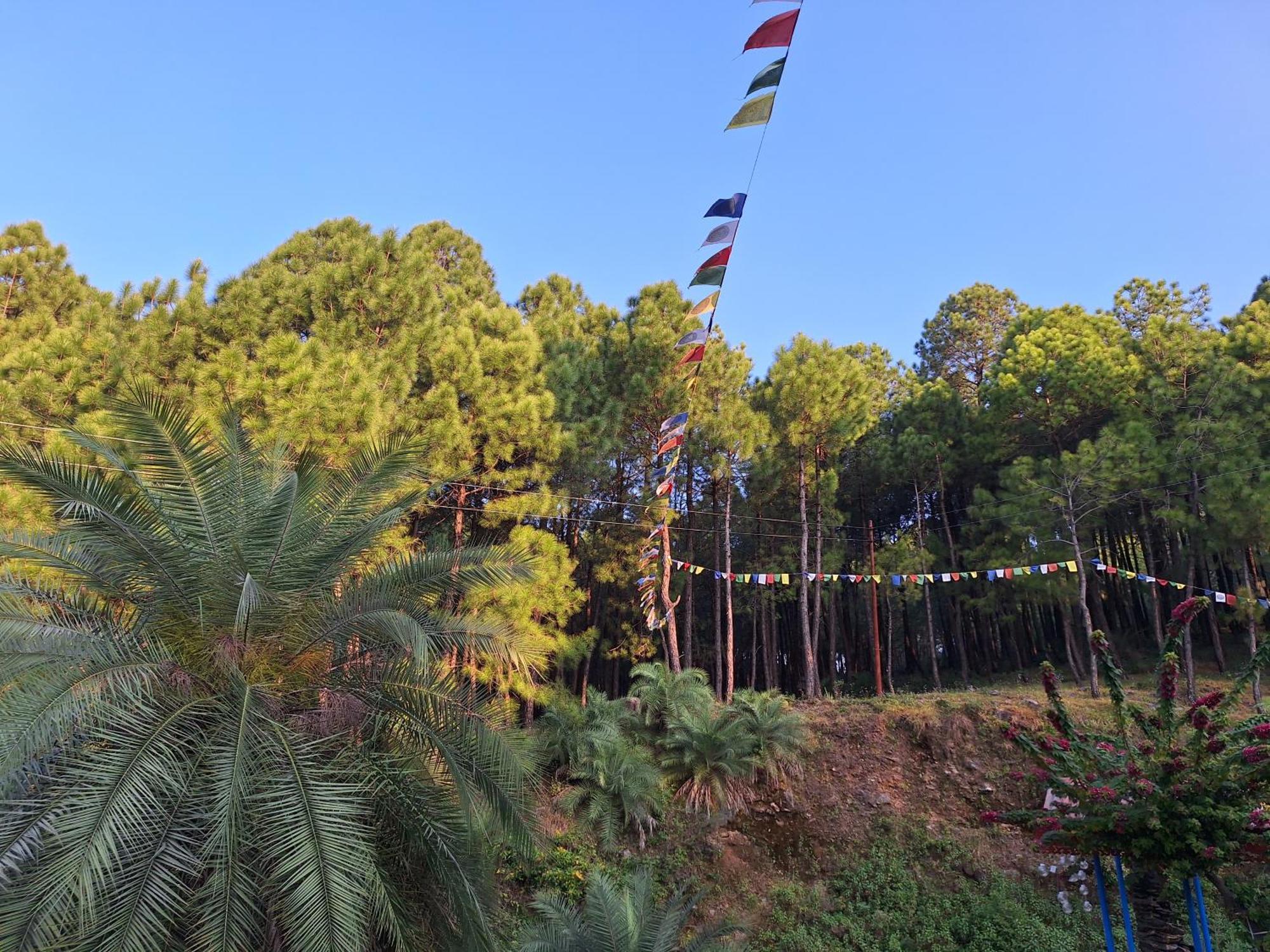 Tathastu Bir -Homestay ,Dorm,Hostel Dış mekan fotoğraf