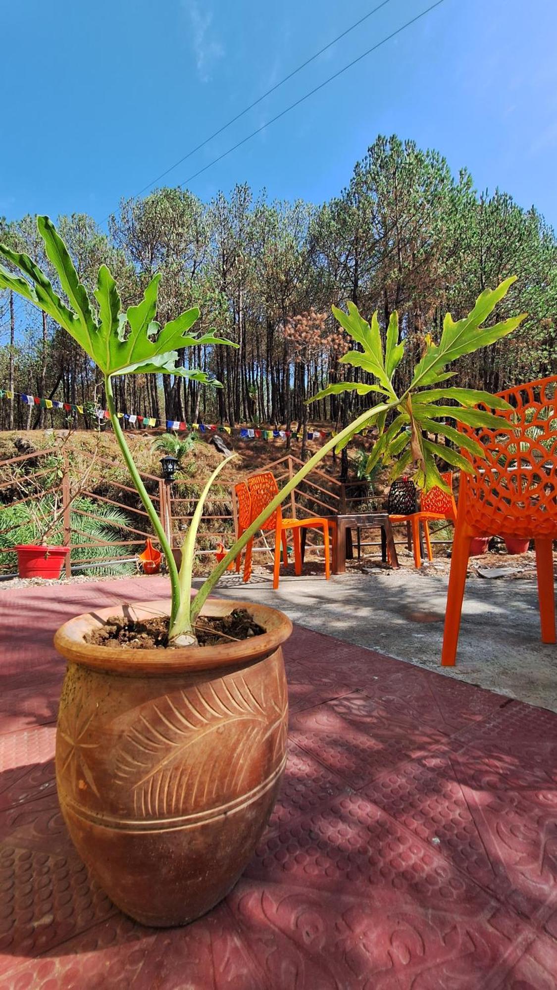 Tathastu Bir -Homestay ,Dorm,Hostel Dış mekan fotoğraf
