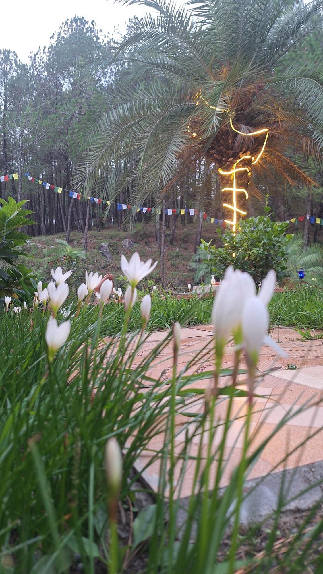 Tathastu Bir -Homestay ,Dorm,Hostel Dış mekan fotoğraf