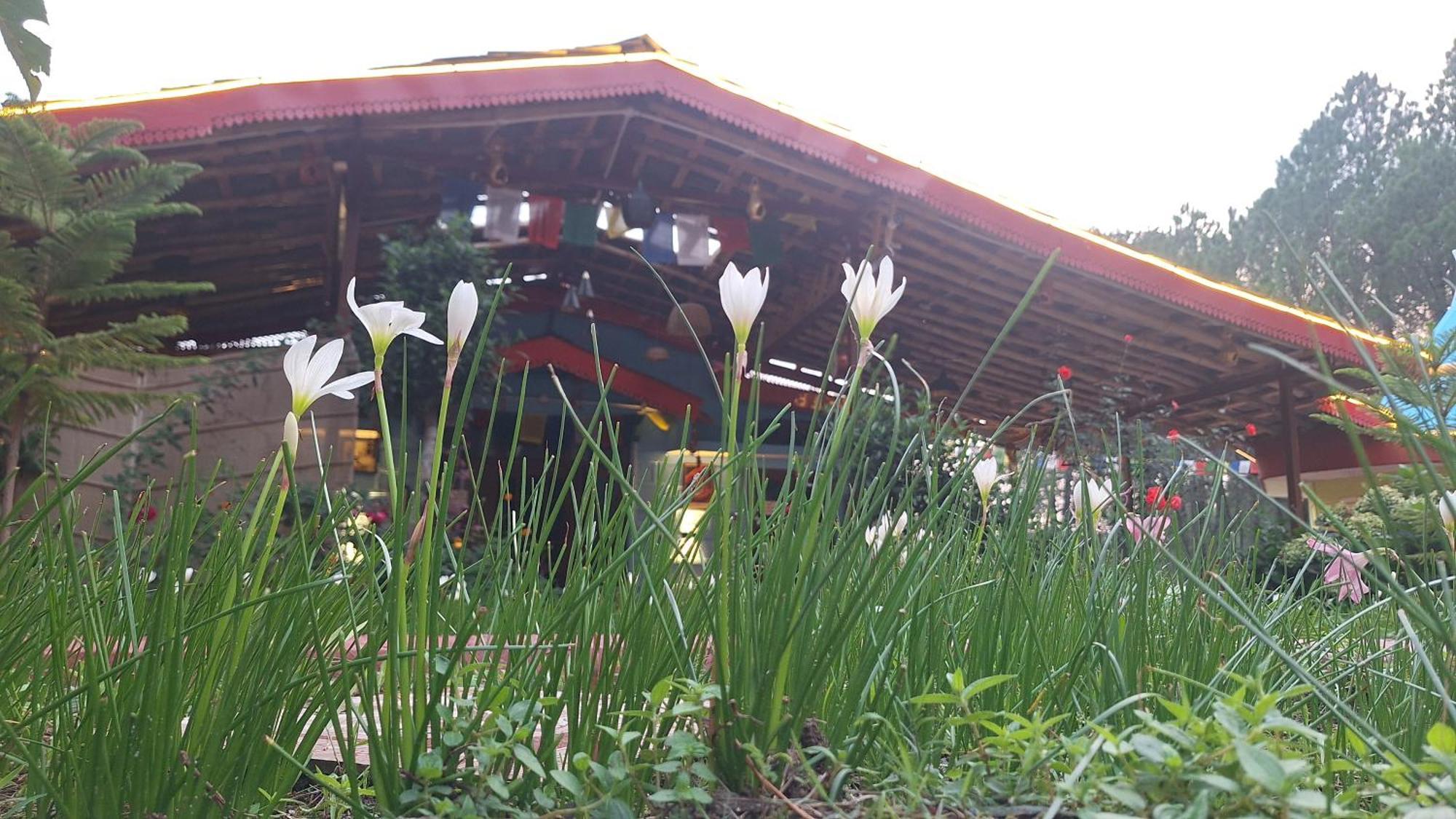 Tathastu Bir -Homestay ,Dorm,Hostel Dış mekan fotoğraf