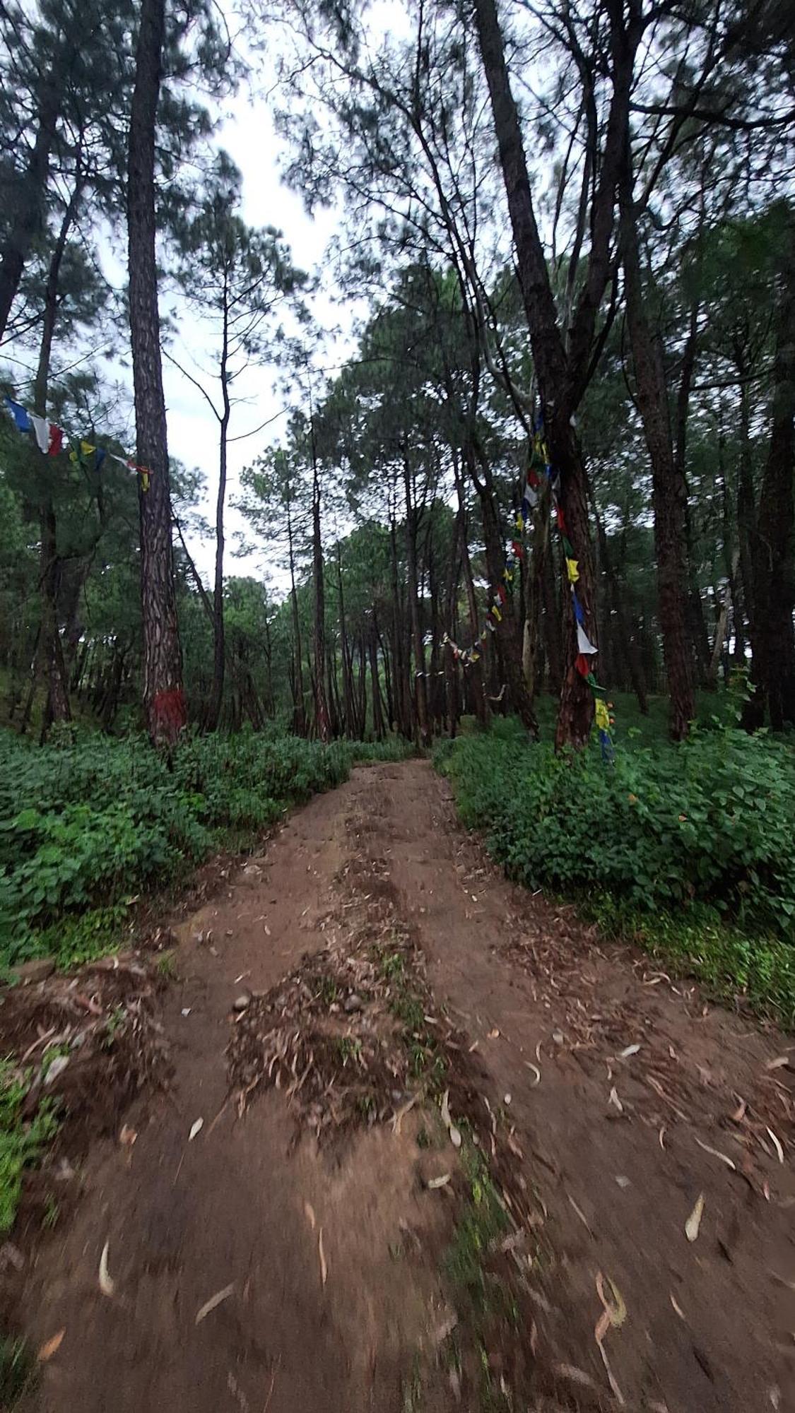 Tathastu Bir -Homestay ,Dorm,Hostel Dış mekan fotoğraf