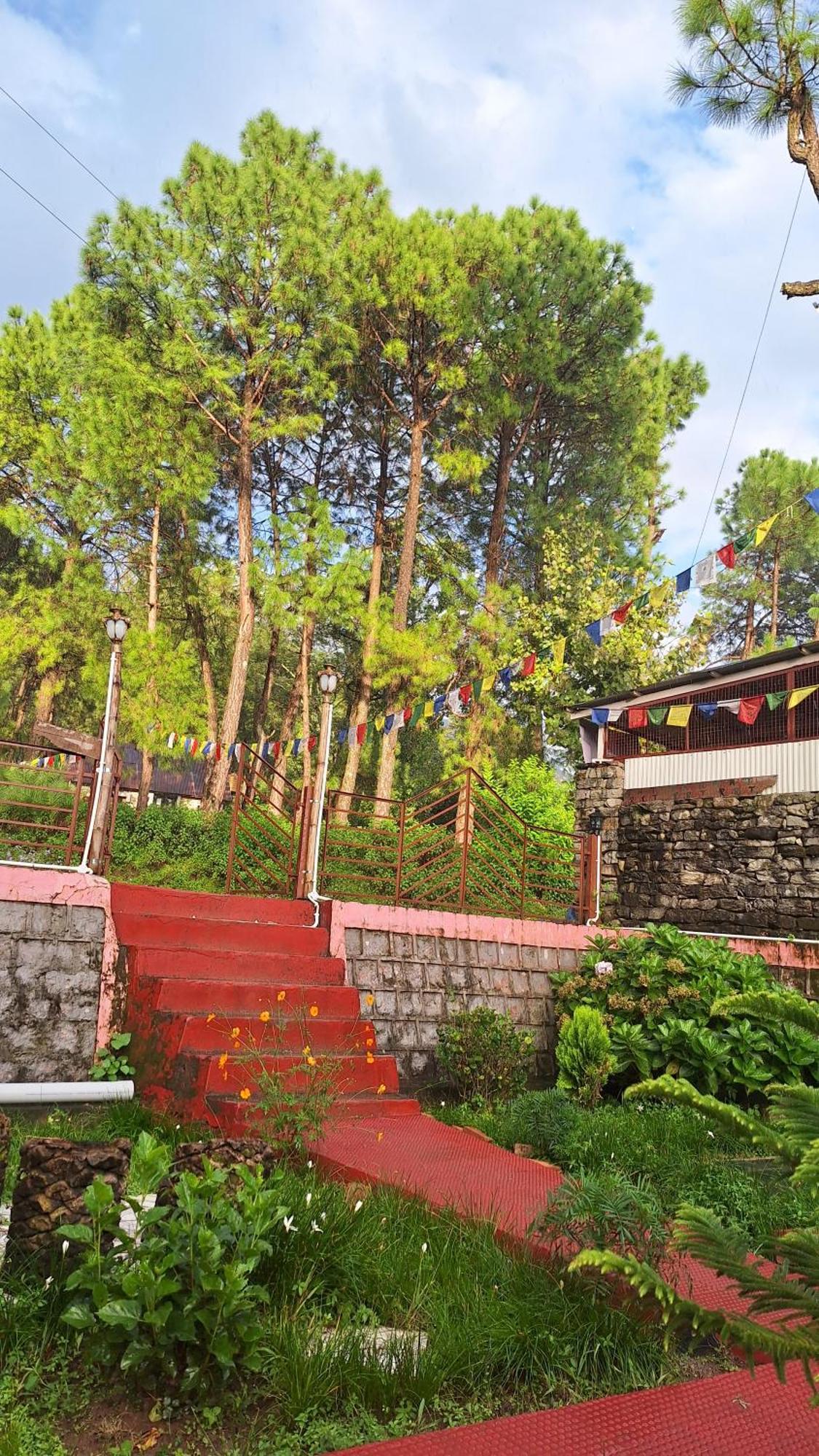 Tathastu Bir -Homestay ,Dorm,Hostel Dış mekan fotoğraf
